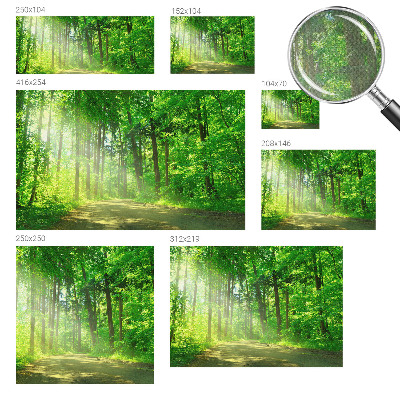 Self-adhesive wall mural featuring a forest path motif