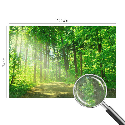 Self-adhesive wall mural Forest path