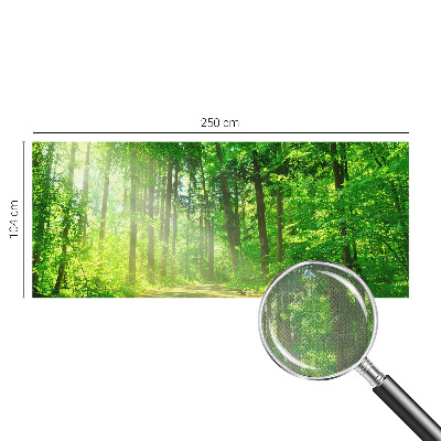 Self-adhesive wall mural featuring a forest path motif