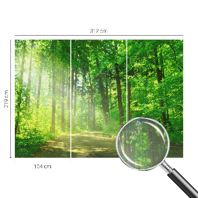 Self-adhesive wall mural featuring a forest path motif
