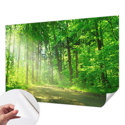 Self-adhesive wall mural featuring a forest path motif