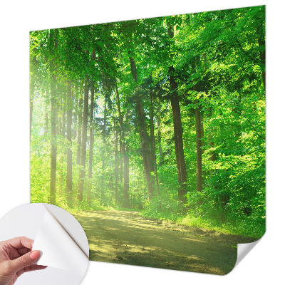 Self-adhesive wall mural featuring a forest path motif