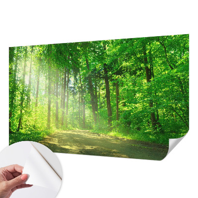 Self-adhesive wall mural featuring a forest path motif