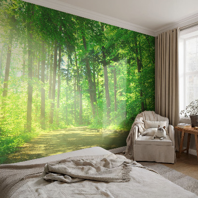 Self-adhesive wall mural featuring a forest path motif