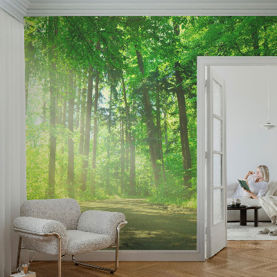Self-adhesive wall mural featuring a forest path motif