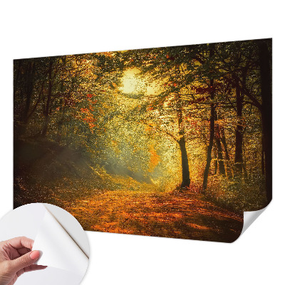 Removable wall mural with an autumn landscape design