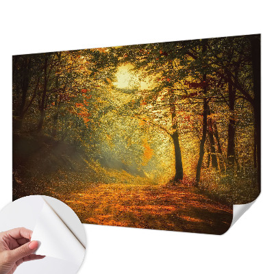 Removable wall mural with an autumn landscape design