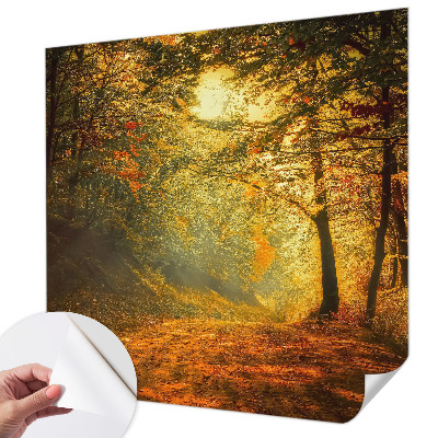 Removable wall mural Autumn landscape