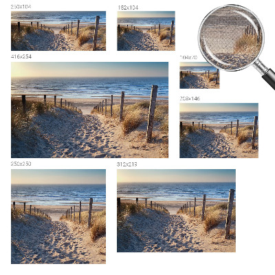 Removable wall mural wallpaper featuring a beach path scene