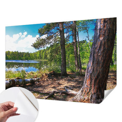 Peel and stick wall mural for bedroom with a forest landscape design