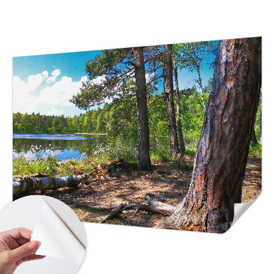 Peel and stick wall mural for bedroom with a forest landscape design