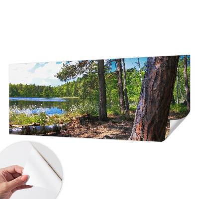 Peel and stick wall mural for bedroom with a forest landscape design