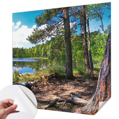 Peel and stick wall mural for bedroom with a forest landscape design