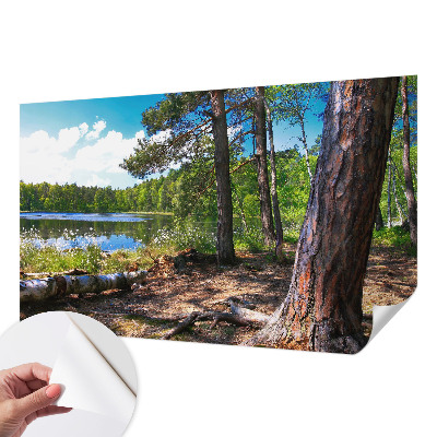 Peel and stick wall mural for bedroom with a forest landscape design