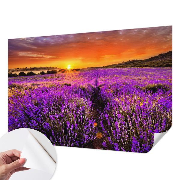 Peel and stick wall mural for kids' room with a lavender sunset design