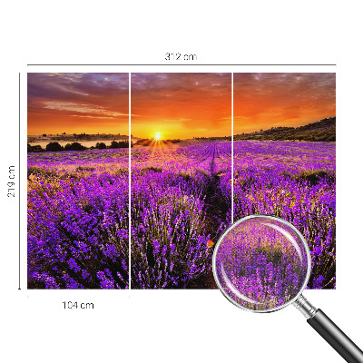 Peel and stick wall mural for kids' room Lavender Sunset
