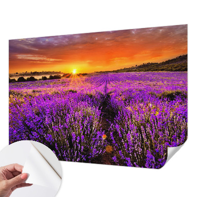 Peel and stick wall mural for kids' room Lavender Sunset