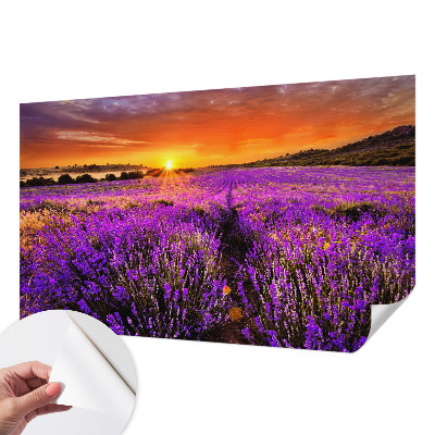 Peel and stick wall mural for kids' room with a lavender sunset design