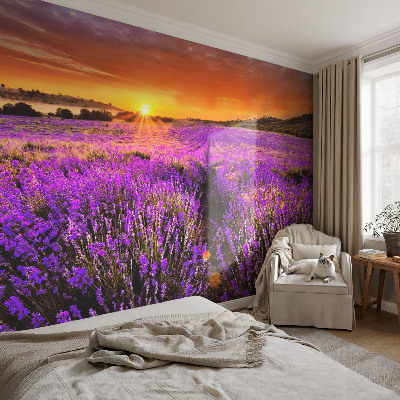 Peel and stick wall mural for kids' room with a lavender sunset design