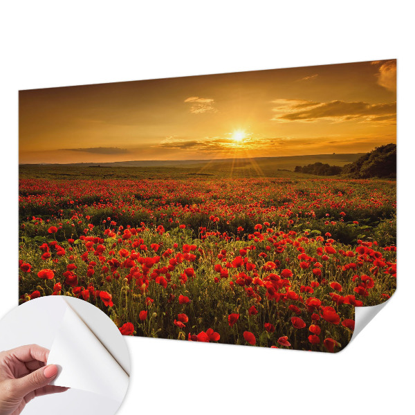 3D wall mural with a poppy field design