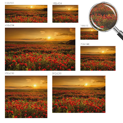 3D wall mural Poppy field