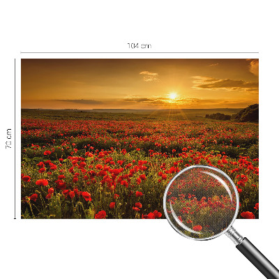 3D wall mural Poppy field