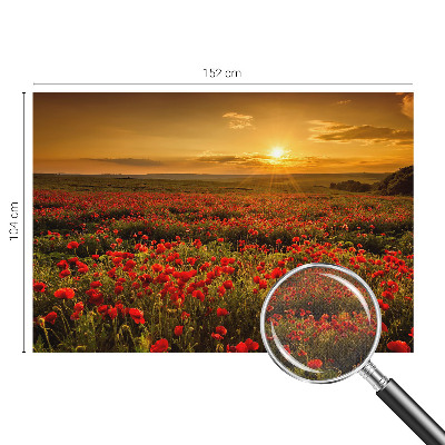 3D wall mural Poppy field