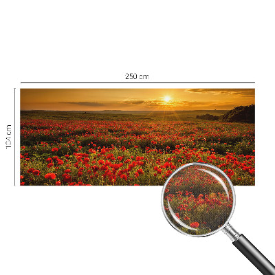 3D wall mural Poppy field