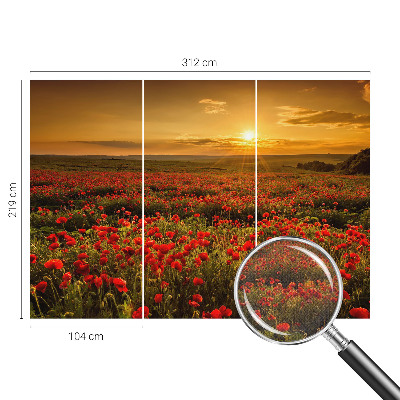 3D wall mural with a poppy field design