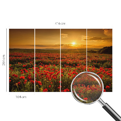 3D wall mural with a poppy field design