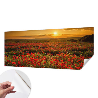 3D wall mural with a poppy field design