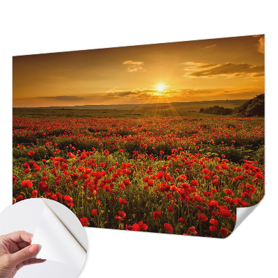 3D wall mural with a poppy field design