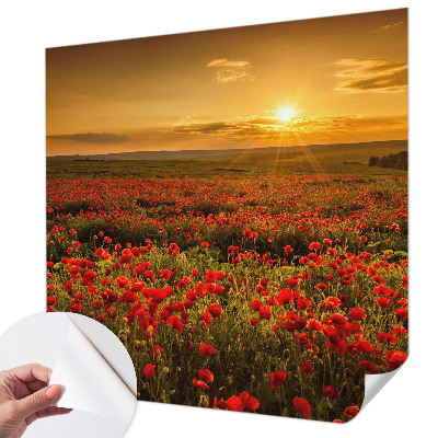 3D wall mural with a poppy field design