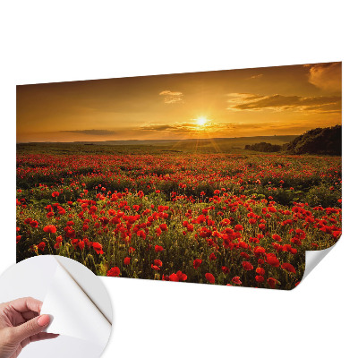 3D wall mural with a poppy field design