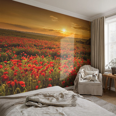3D wall mural with a poppy field design