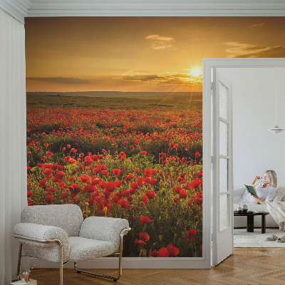 3D wall mural with a poppy field design