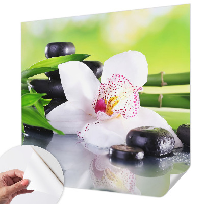 Peel and stick wallpaper mural evoking the peace of nature