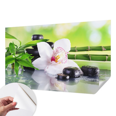 Peel and stick wallpaper mural evoking the peace of nature