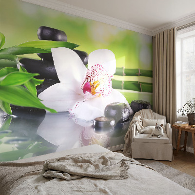 Peel and stick wallpaper mural evoking the peace of nature
