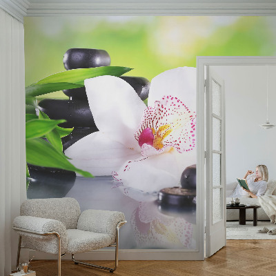 Peel and stick wallpaper mural evoking the peace of nature