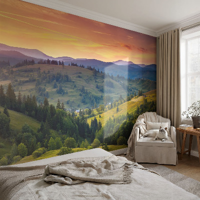 Removable wall mural wallpaper with a mountain landscape design