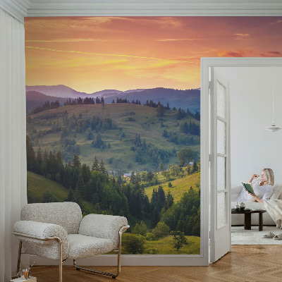 Removable wall mural wallpaper with a mountain landscape design