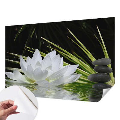 Removable wall mural Lily meditation