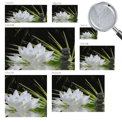 Removable wall mural Lily meditation