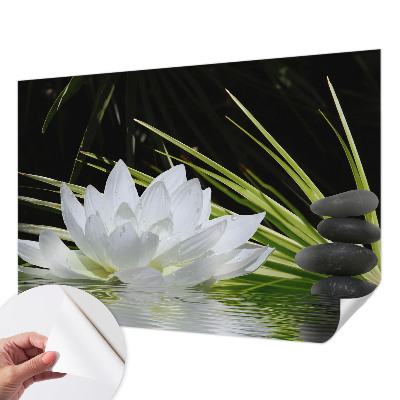 Removable wall mural Lily meditation