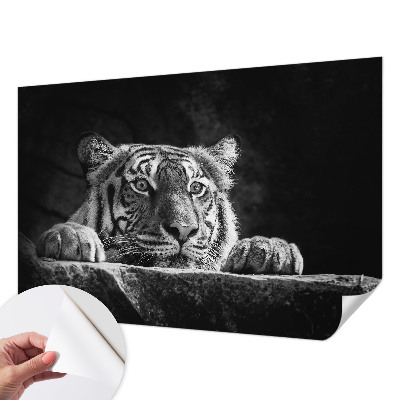 Children's wall mural Predatory look