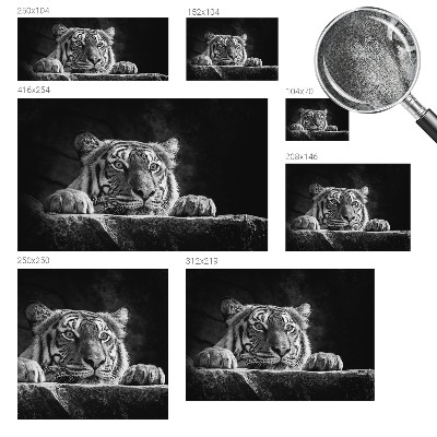 Children's wall mural Predatory look