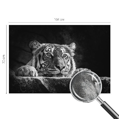 Children's wall mural Predatory look