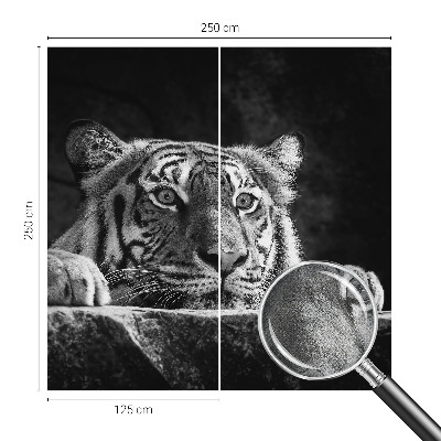 Children's wall mural Predatory look