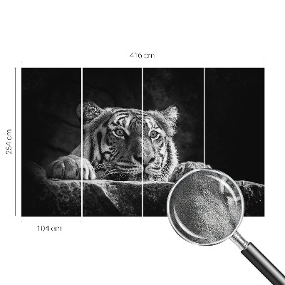 Children's wall mural Predatory look